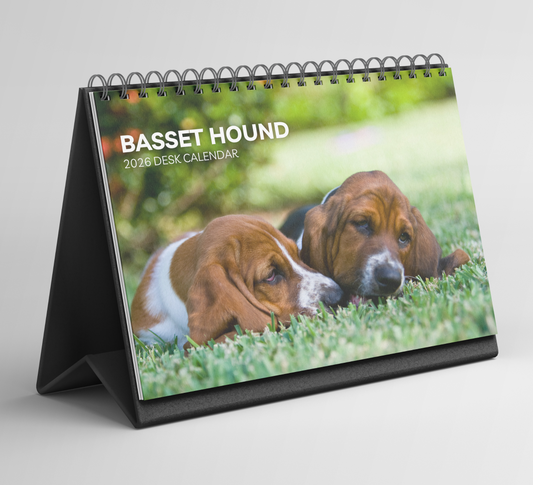 Basset Hound Desk Calendar 2026-2027