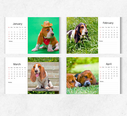 Basset Hound Desk Calendar 2026-2027
