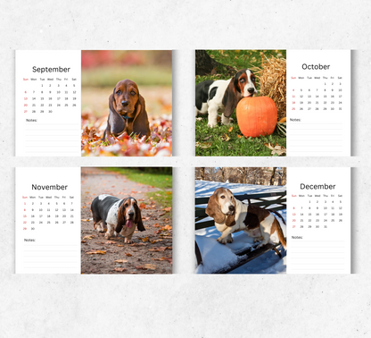 Basset Hound Desk Calendar 2026-2027