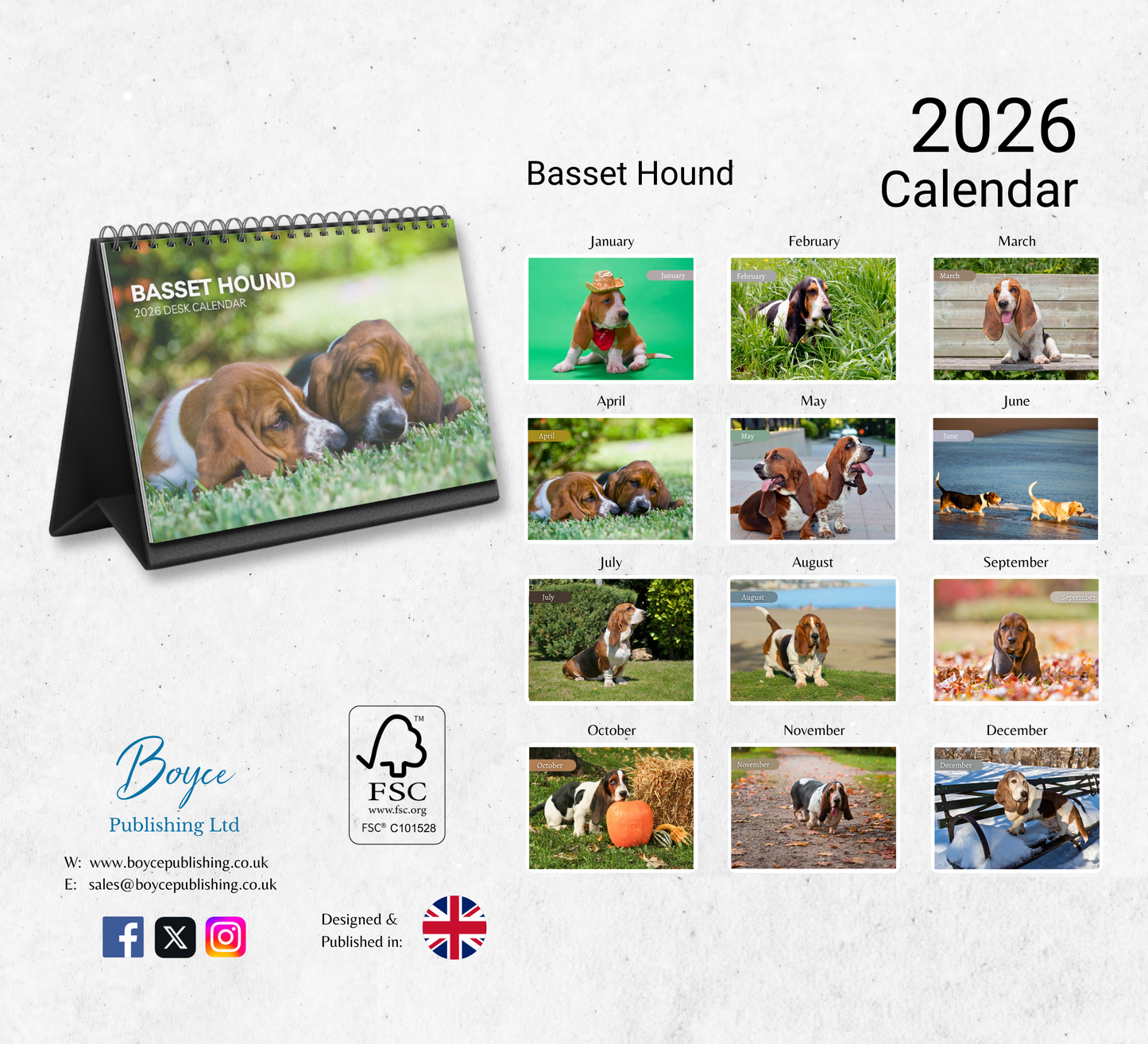 Basset Hound Desk Calendar 2026-2027