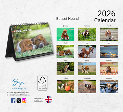 Basset Hound Desk Calendar 2026-2027