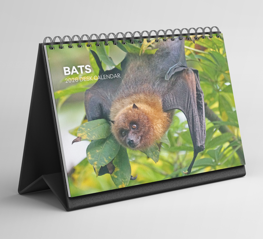 Bat Desk Calendar 2026-2027