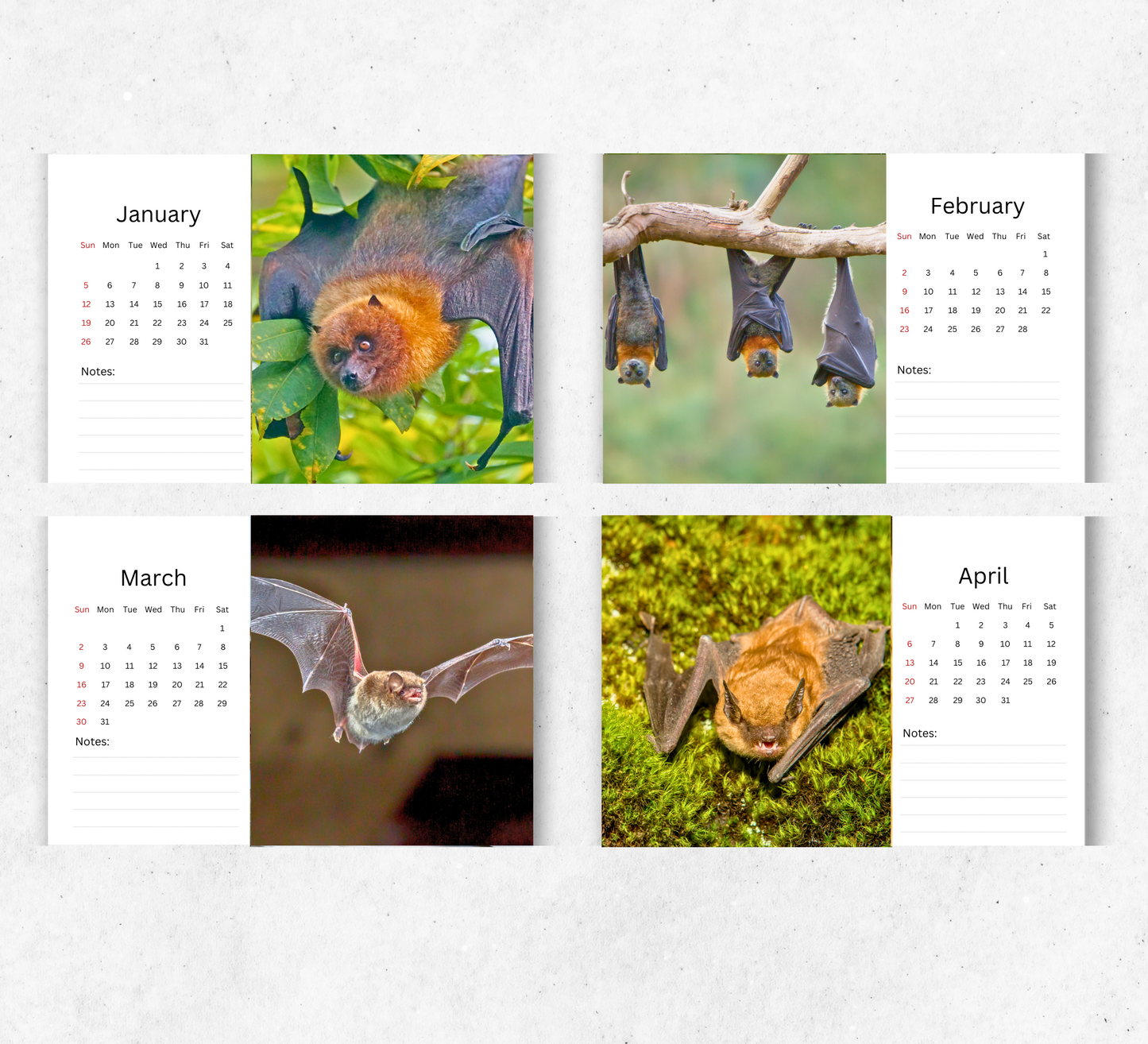 Bat Desk Calendar 2026-2027