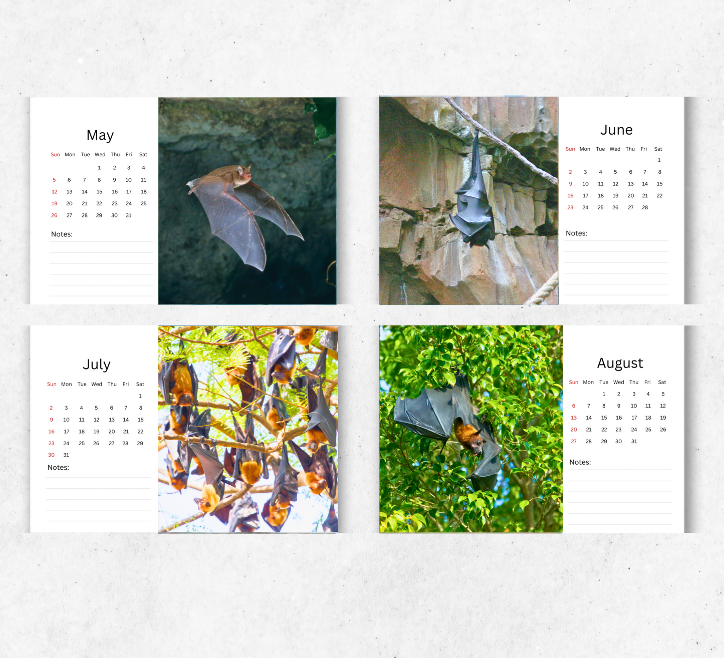 Bat Desk Calendar 2026-2027