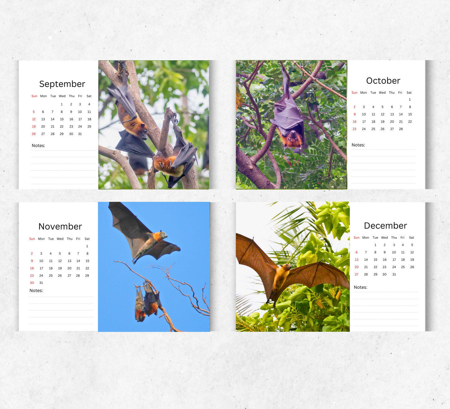 Bat Desk Calendar 2026-2027
