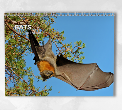 Bat Calendar 2027