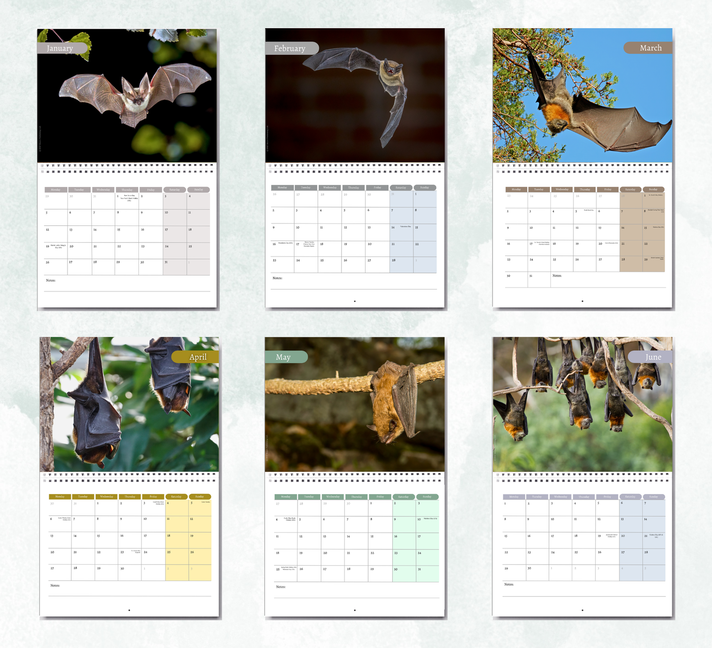 Bat Calendar 2027