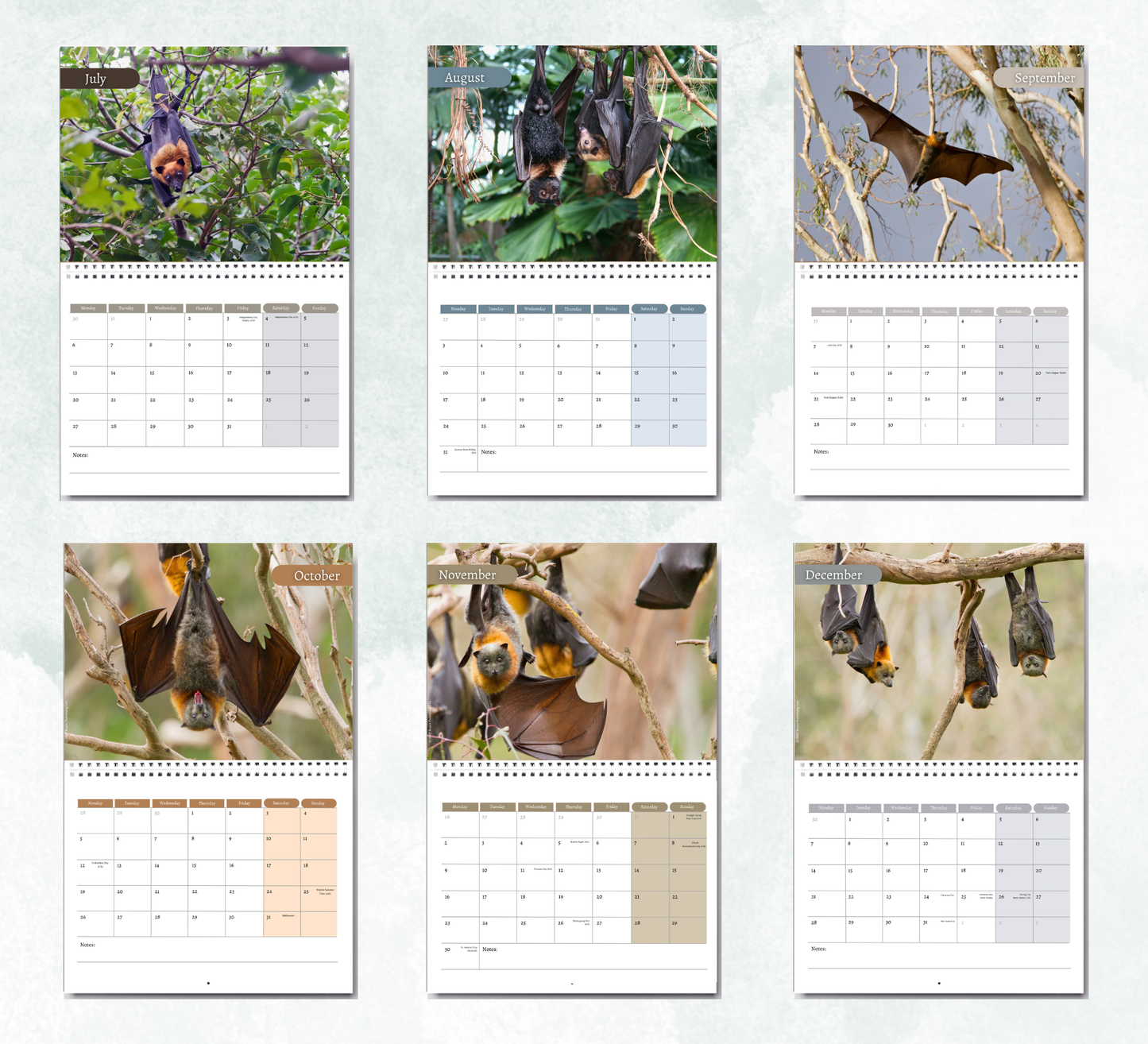 Bat Calendar 2027