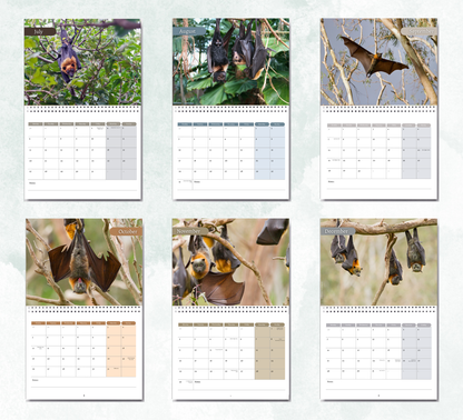 Bat Calendar 2027