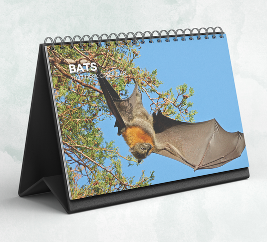 Bat Desk Calendar 2027-2028