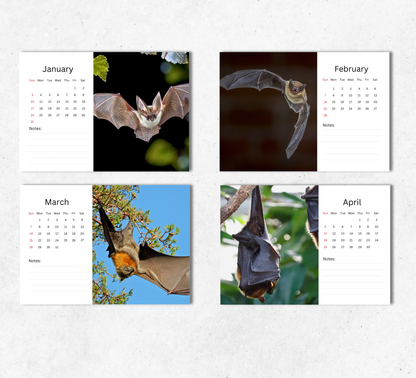 Bat Desk Calendar 2027-2028