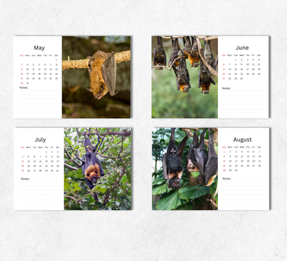 Bat Desk Calendar 2027-2028