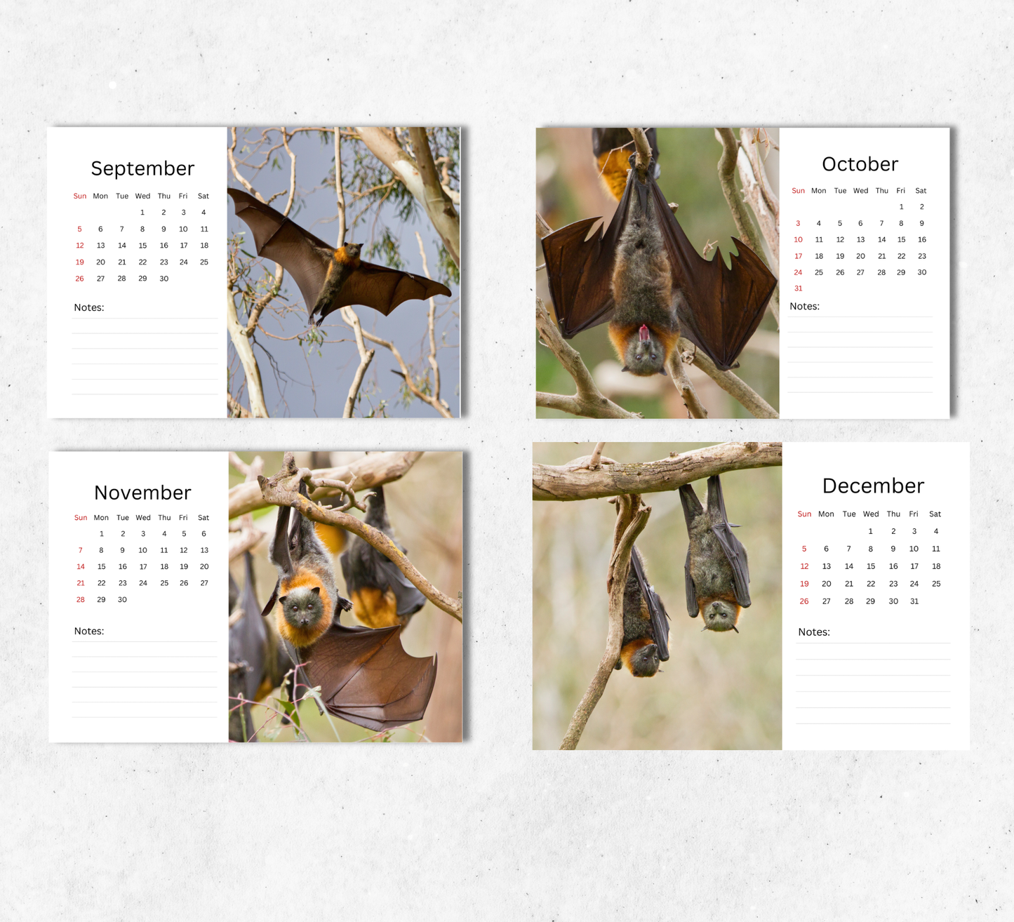 Bat Desk Calendar 2027-2028