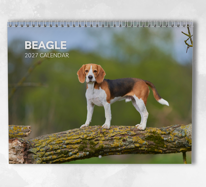 Beagle Calendar 2027