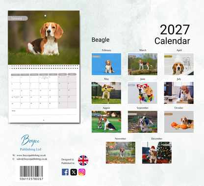 Beagle Calendar 2027