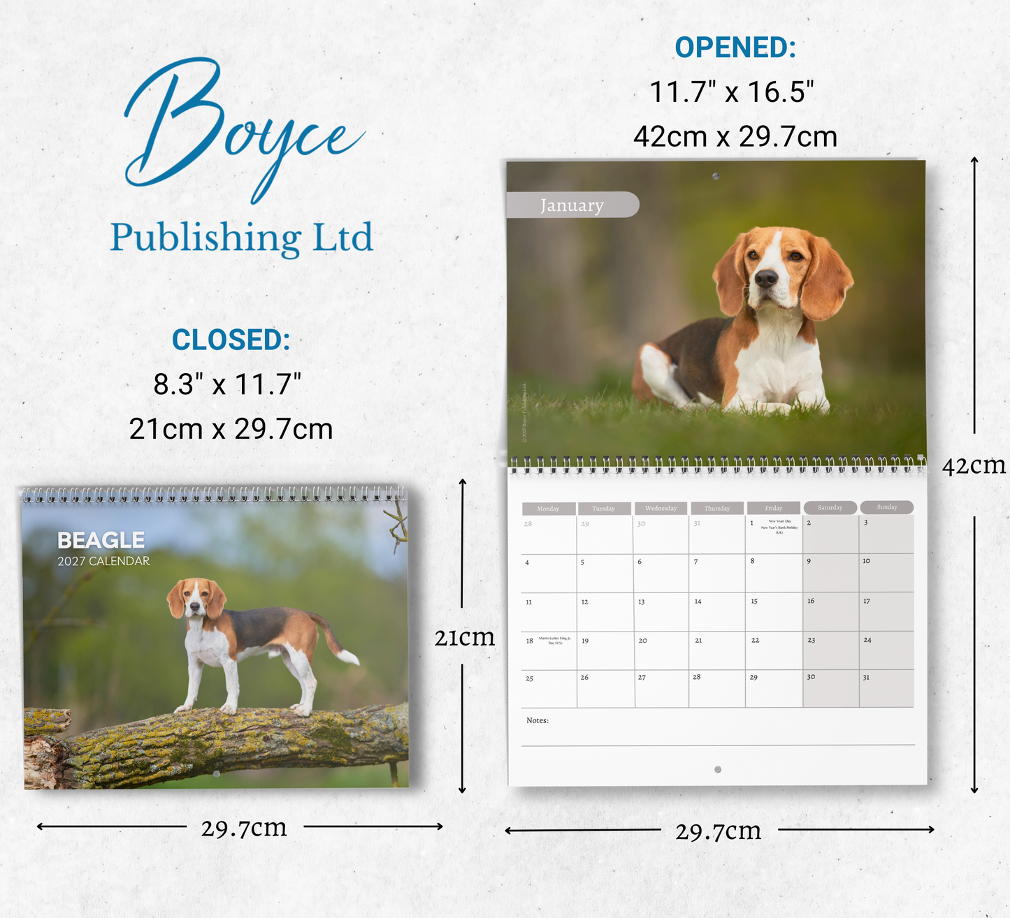 Beagle Calendar 2027