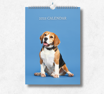 2025 Beagle calendar featuring a beagle sitting down on a light blue backdrop.