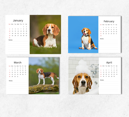Beagle Desk Calendar 2027-2028