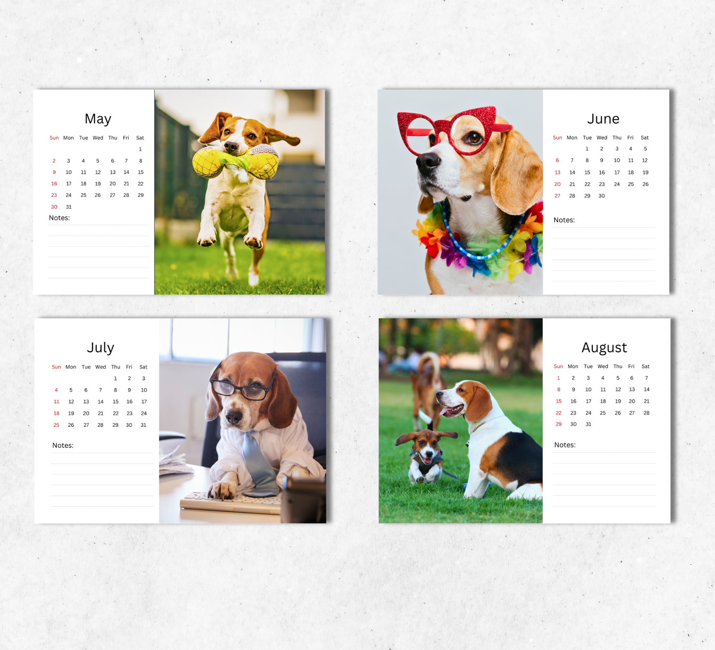 Beagle Desk Calendar 2027-2028