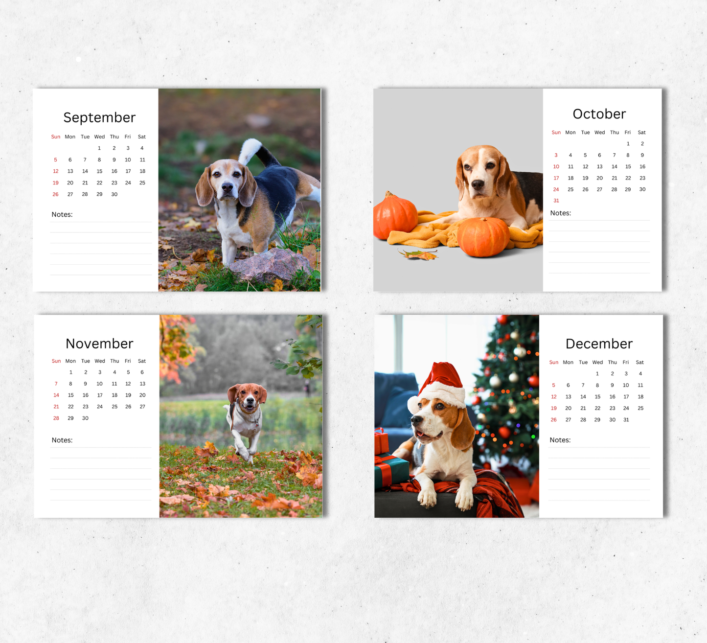 Beagle Desk Calendar 2027-2028