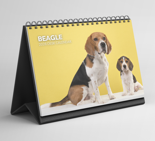 Beagle Desk Calendar 2026-2027