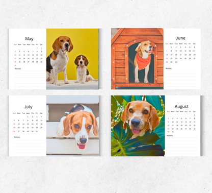 Beagle Desk Calendar 2026-2027