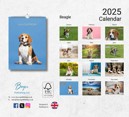 Beagle Calendar 2025