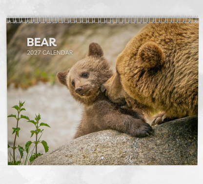 Bear Calendar 2027
