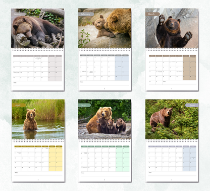 Bear Calendar 2027