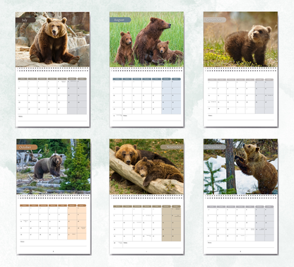 Bear Calendar 2027