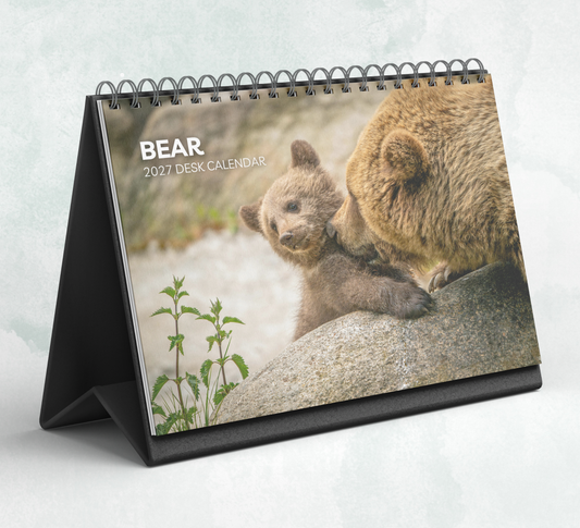 Bear Desk Calendar 2027-2028