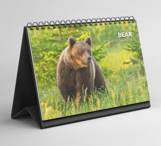 Bear Desk Calendar 2026-2027