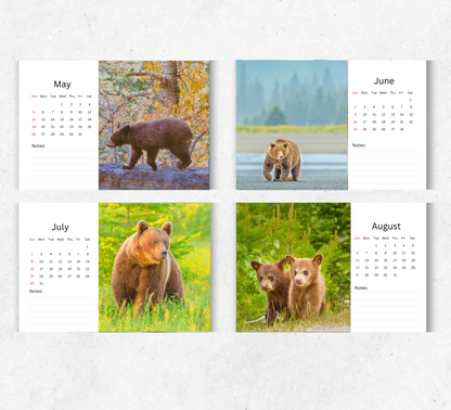 Bear Desk Calendar 2026-2027