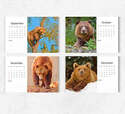 Bear Desk Calendar 2026-2027