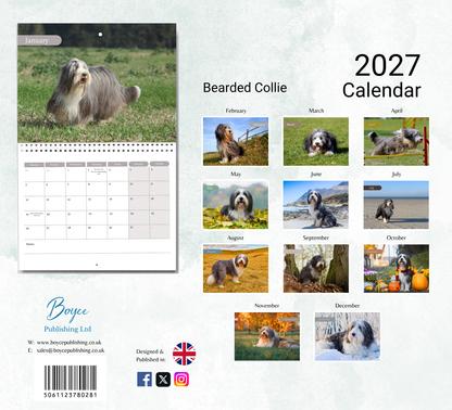Bearded Collie Calendar 2027