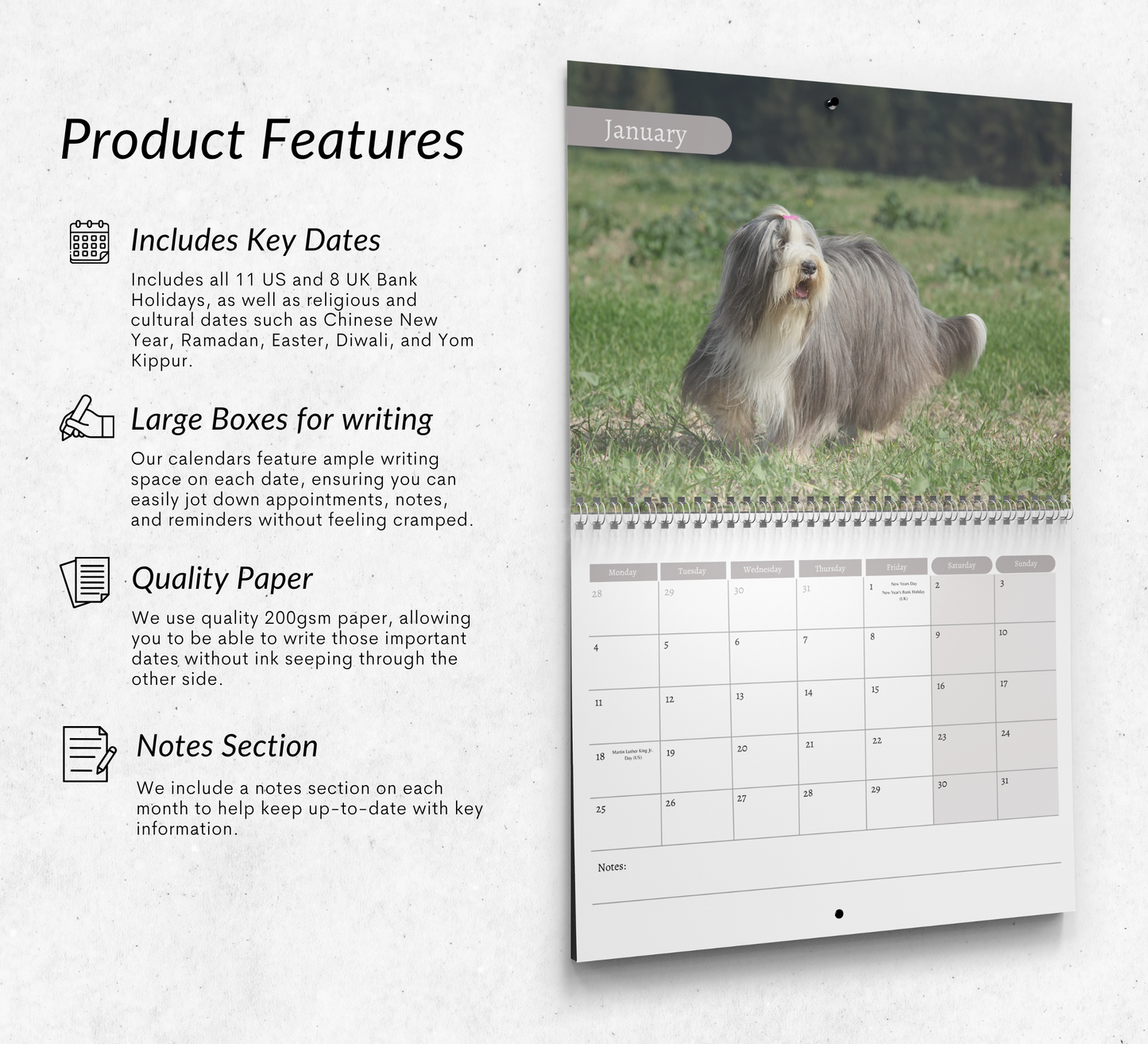 Bearded Collie Calendar 2027