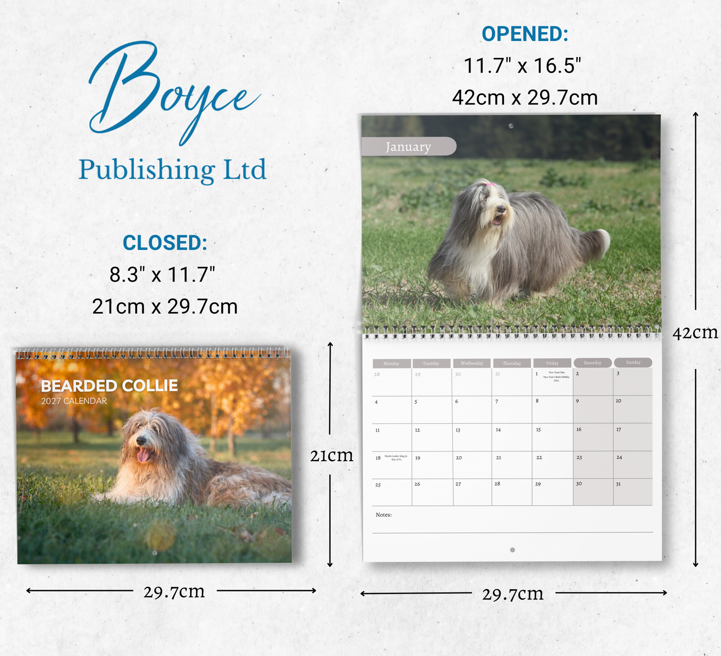 Bearded Collie Calendar 2027