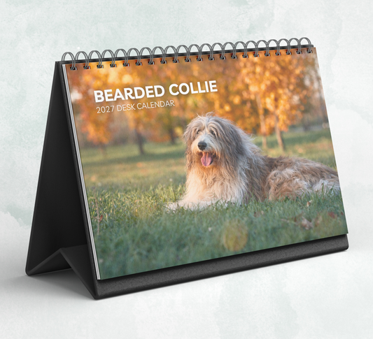 Bearded Collie Desk Calendar 2027-2028