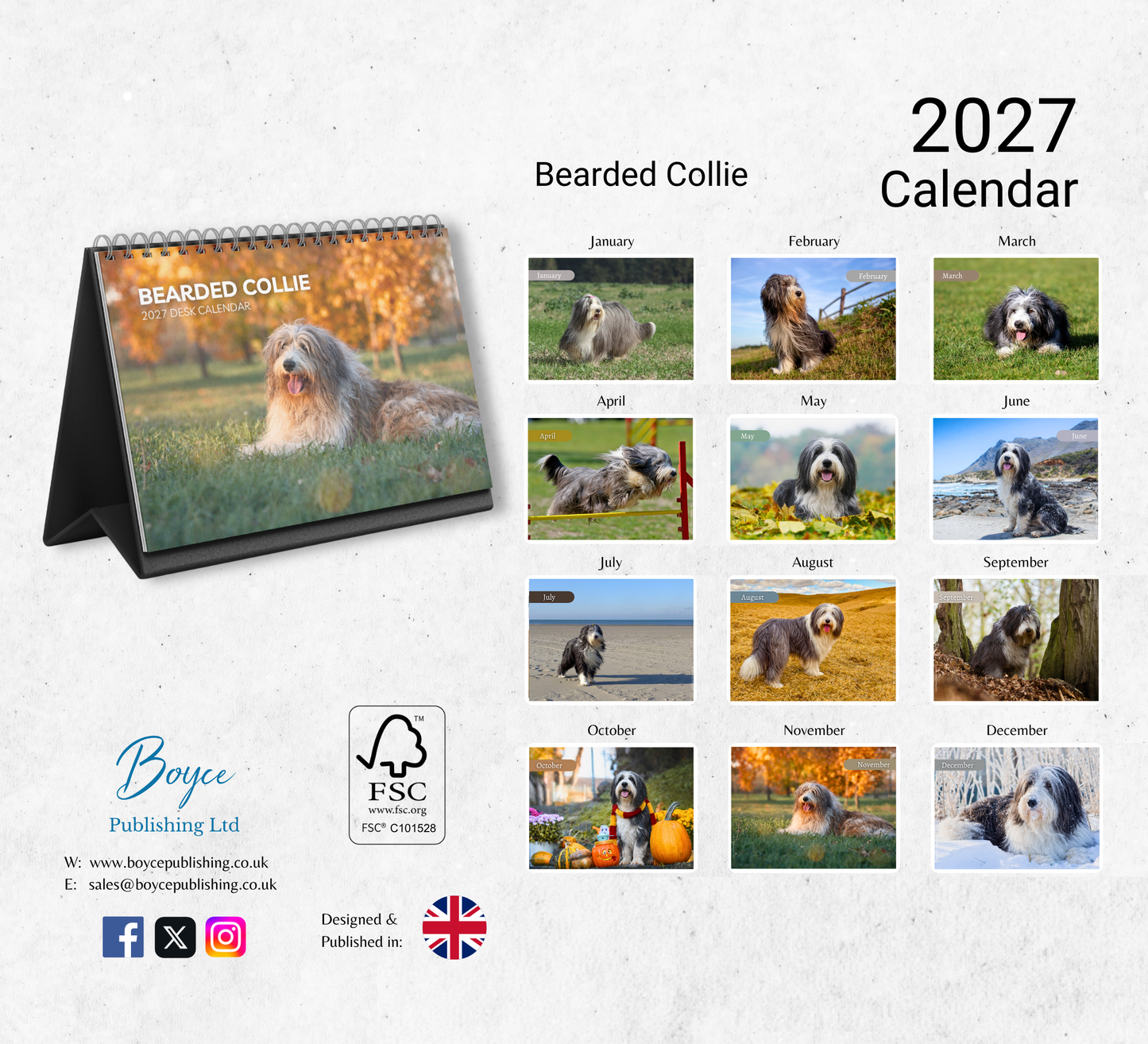 Bearded Collie Desk Calendar 2027-2028
