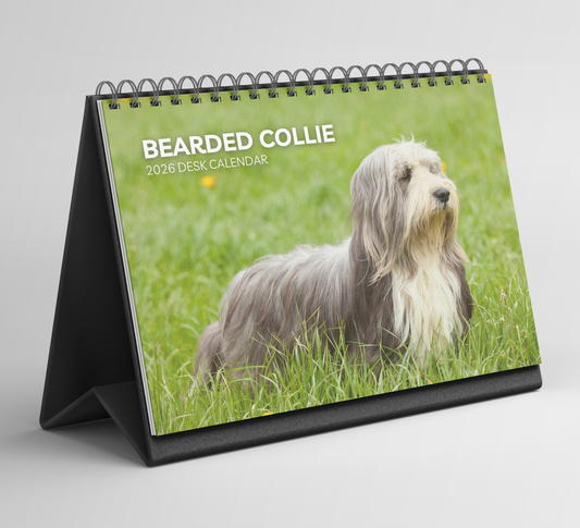 Bearded Collie Desk Calendar 2026-2027