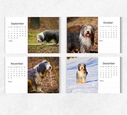 Bearded Collie Desk Calendar 2026-2027