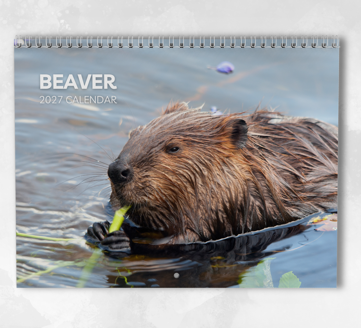 Beaver Calendar 2027
