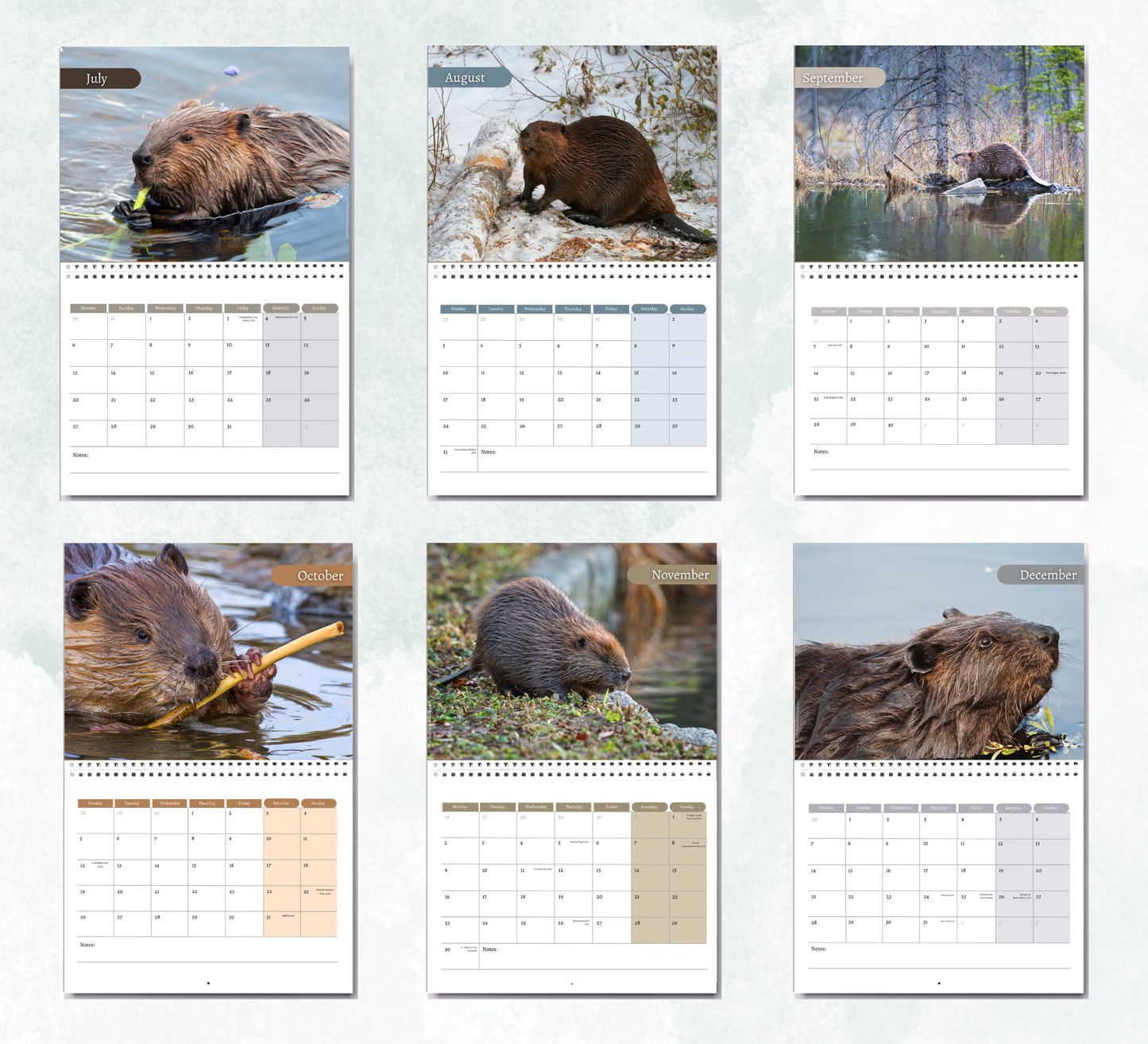 Beaver Calendar 2027
