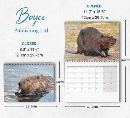 Beaver Calendar 2027