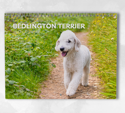 Bedlington Terrier Calendar 2027