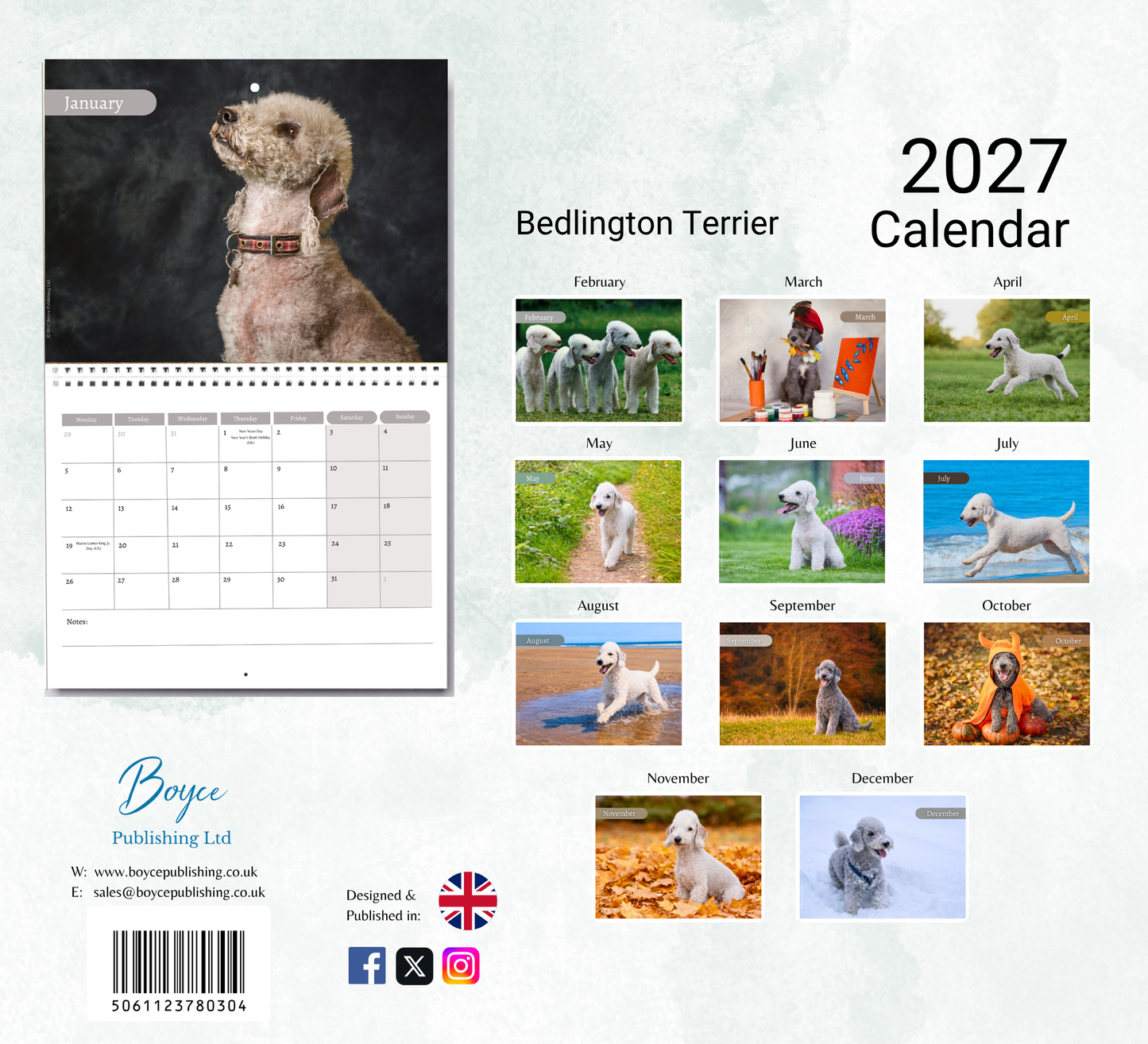 Bedlington Terrier Calendar 2027