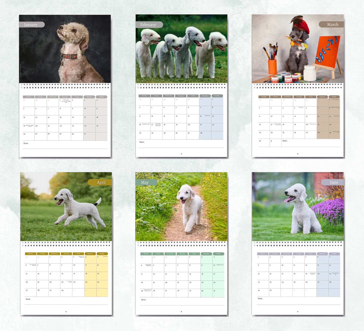 Bedlington Terrier Calendar 2027
