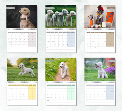 Bedlington Terrier Calendar 2027