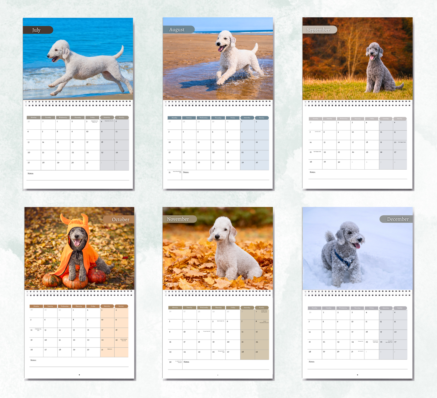Bedlington Terrier Calendar 2027