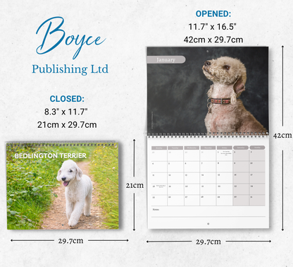 Bedlington Terrier Calendar 2027